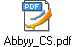 Abbyy_CS.pdf